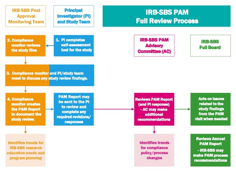 IRB SBS PAM Colorful Flow chart 